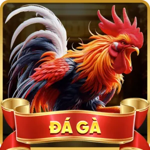 Đa dạng trò chơi cá cược tại 678win