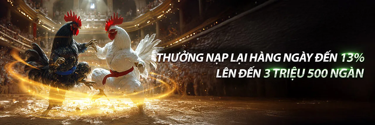 Đá gà trực tuyến 678win 2026